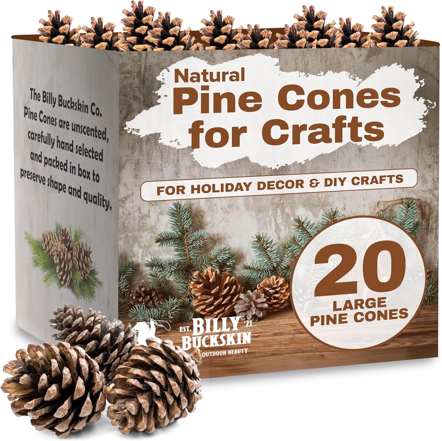 20 Large Pinecones