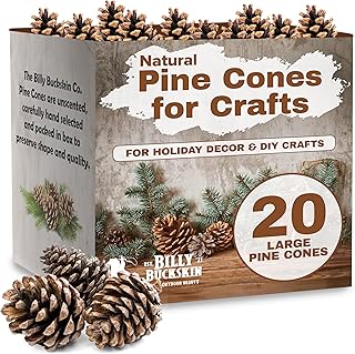 20 Large Natural Pine Cones for Crafts, 3