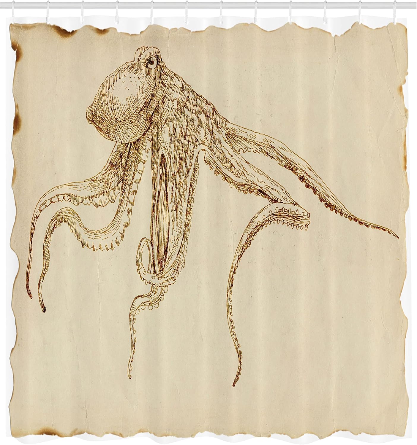 Ambesonne Octopus Shower Curtain, Octopus Illustration Sketch Style with Large Tentacles Vintage Art Print Marine, Cloth Fabric Bathroom Decor Set with Hooks, 69" W x 70" L, Ecru Brown
