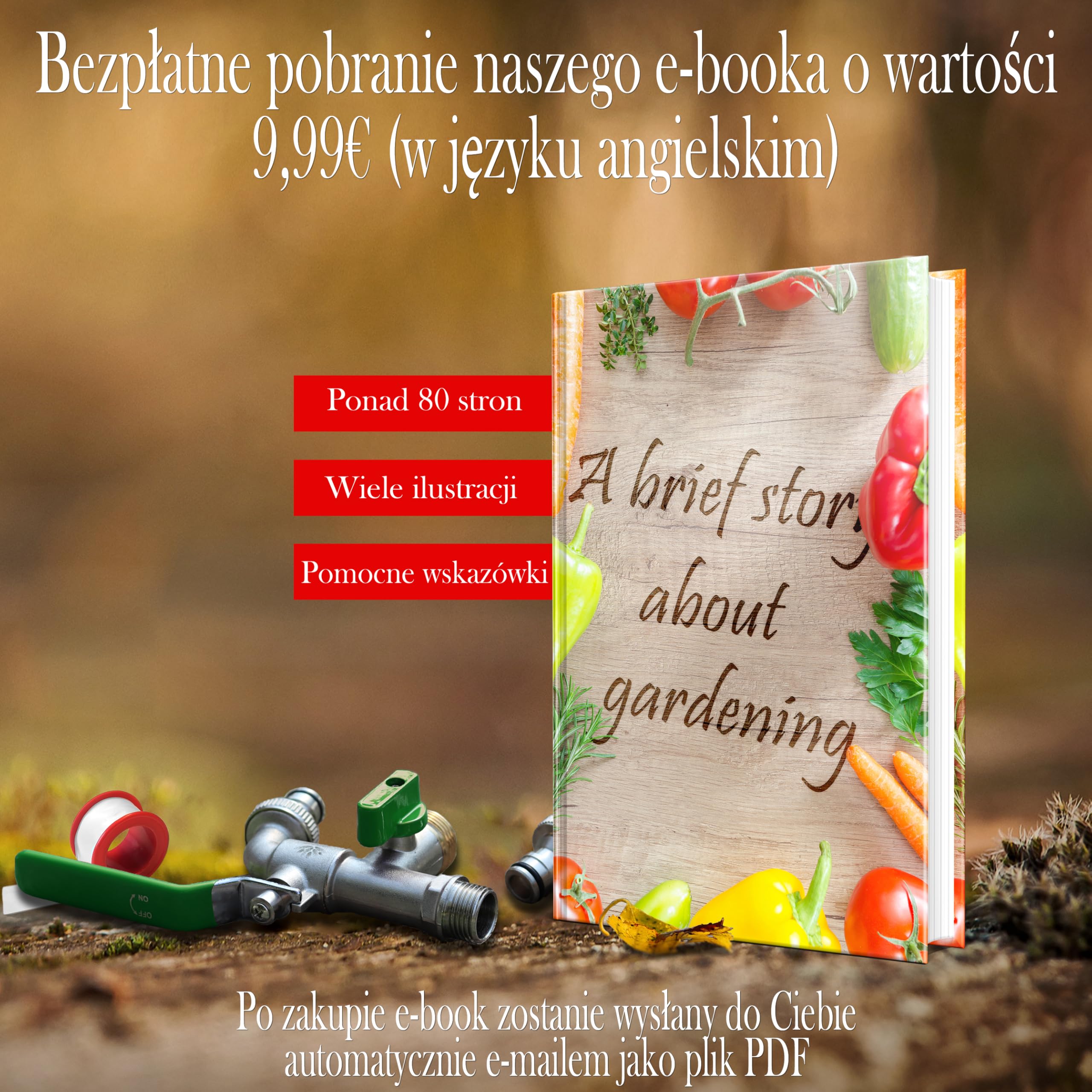 SHYNE Premium 3/4 cala podwójny kran wykonany z mosiądzu nierdzewnej + 2X darmowe połączenia wężowe + Ebook | do ogrodu, pralka, beczka deszczowa