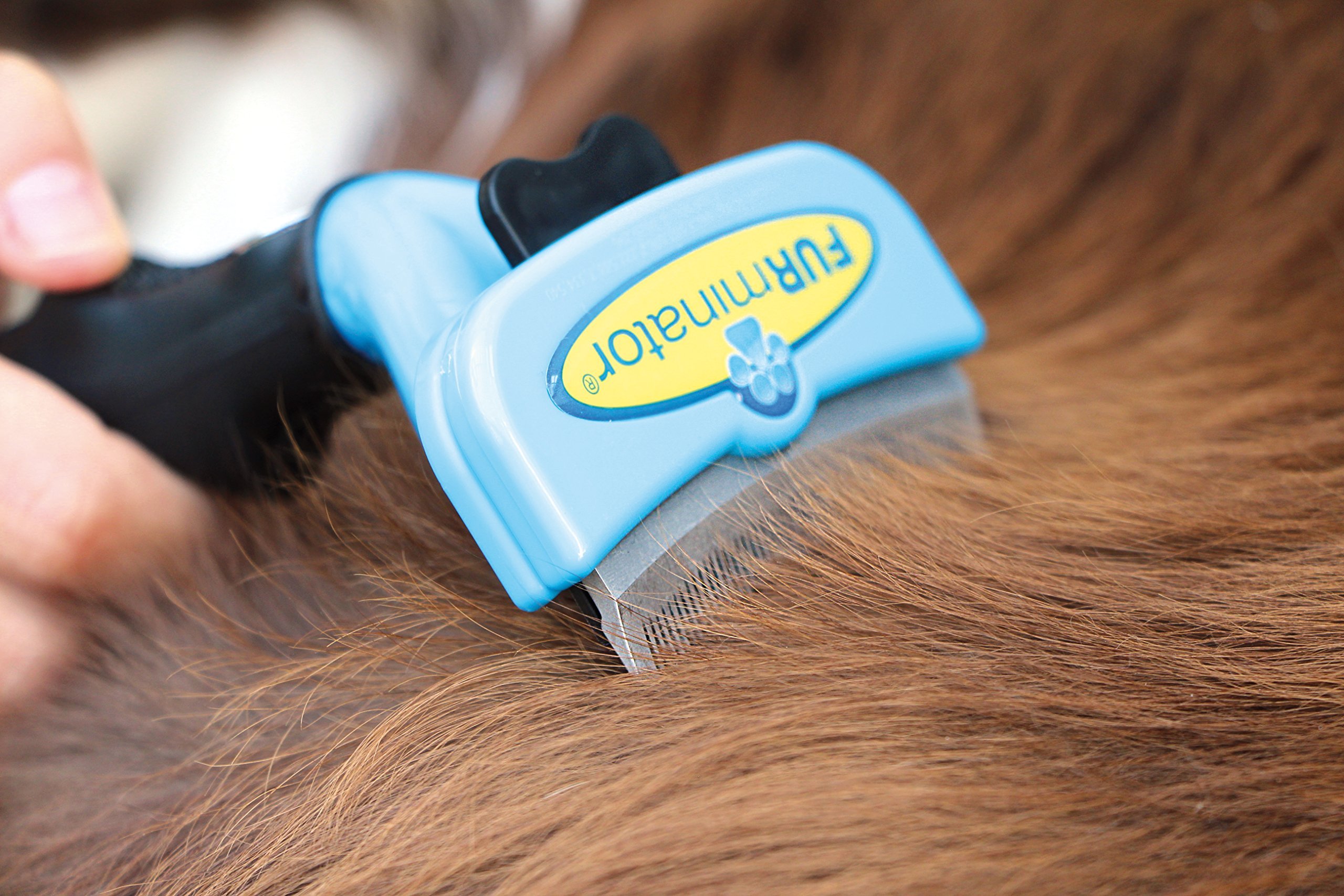 FURminator FURflex szczotka do pielęgnacji sierści dla średnich psów, narzędzie deShedding do usuwania podwełny, rozmiar M