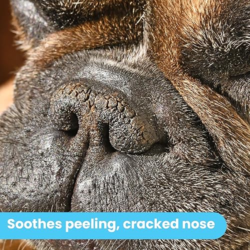 Miniatura 6 de Pawtitas Bálsamo nasal para perros para humectantes, narices secas, agrietadas y crujientes de perro que proporcionan una capa de protección en el