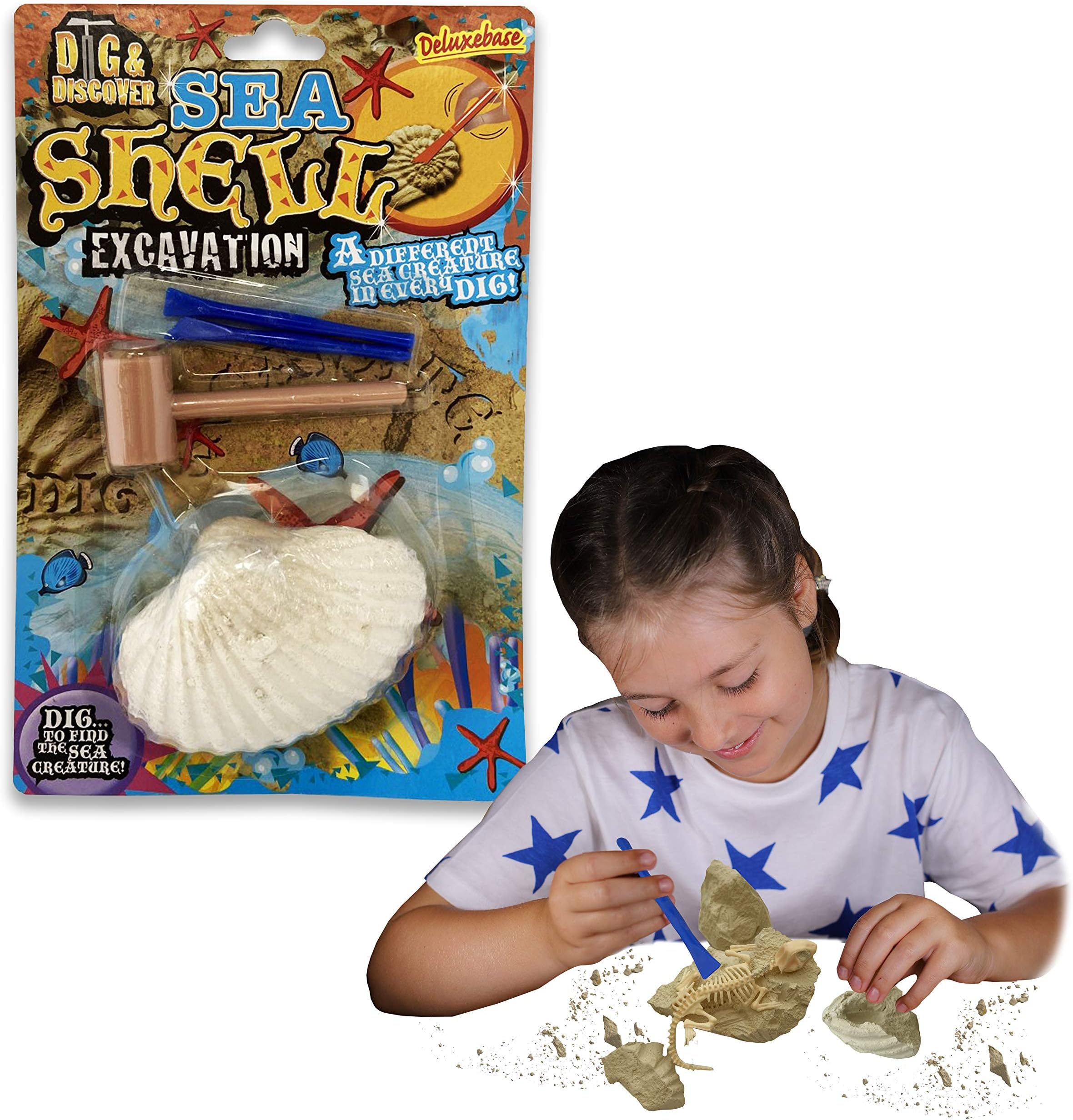 Seashell Excavation