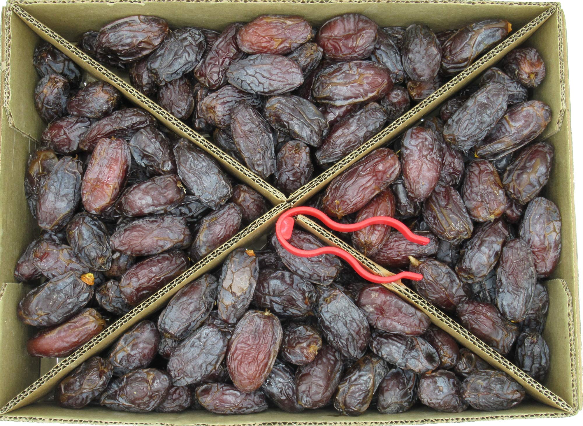 BIO-Medjoul-Datteln JUMBO 5kg Israel Spezialitäten 100% BIO Aktuelle Ernte