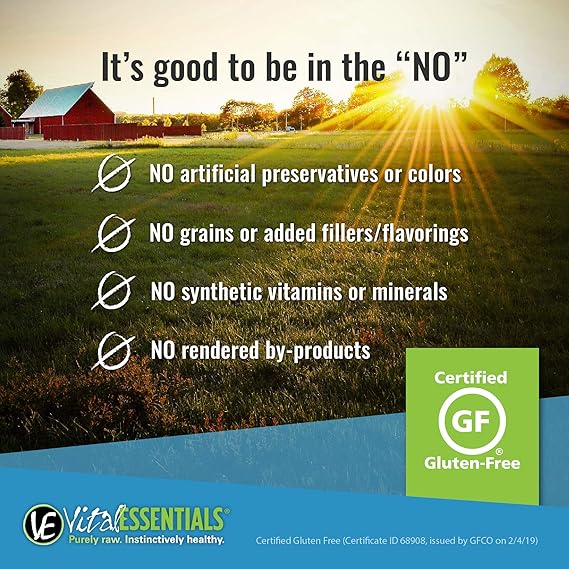 vital essentials minnows