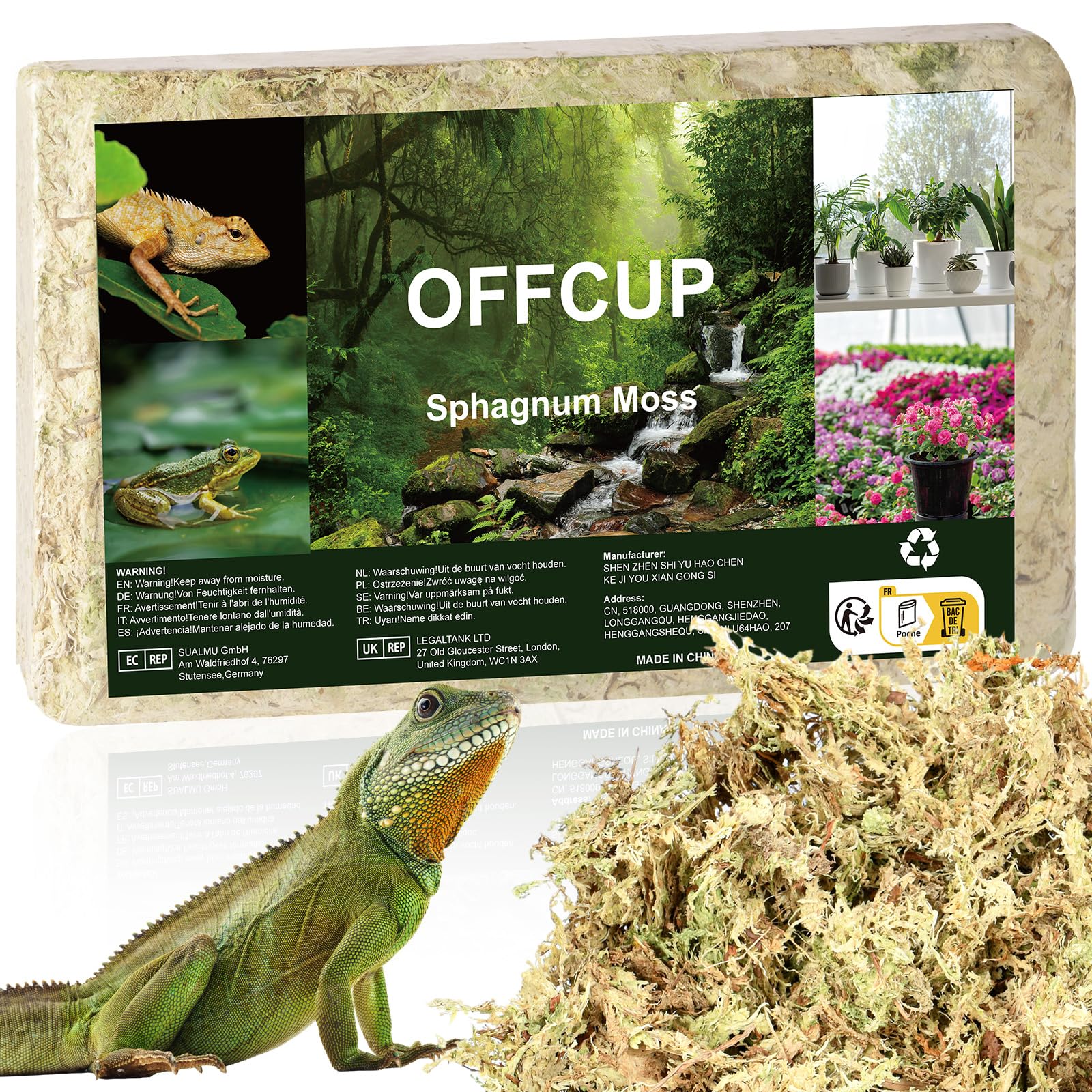 OFFCUP Natural Sphagnum Moss, 150g Dried Forest Moss for Maintain Humidity Terrarium Decor, Orchid Soil Medium