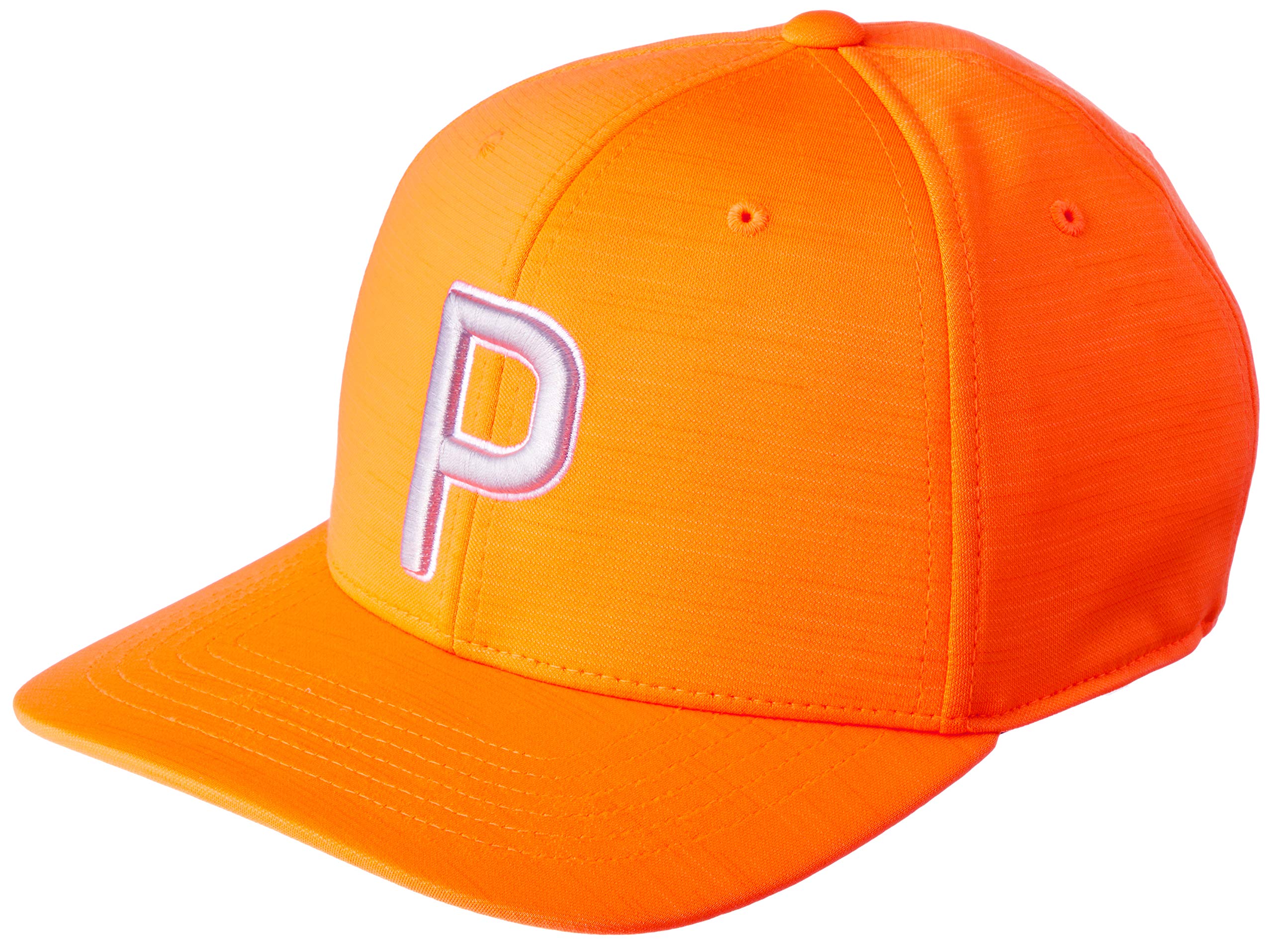 PUMAMen's P 110 Cap