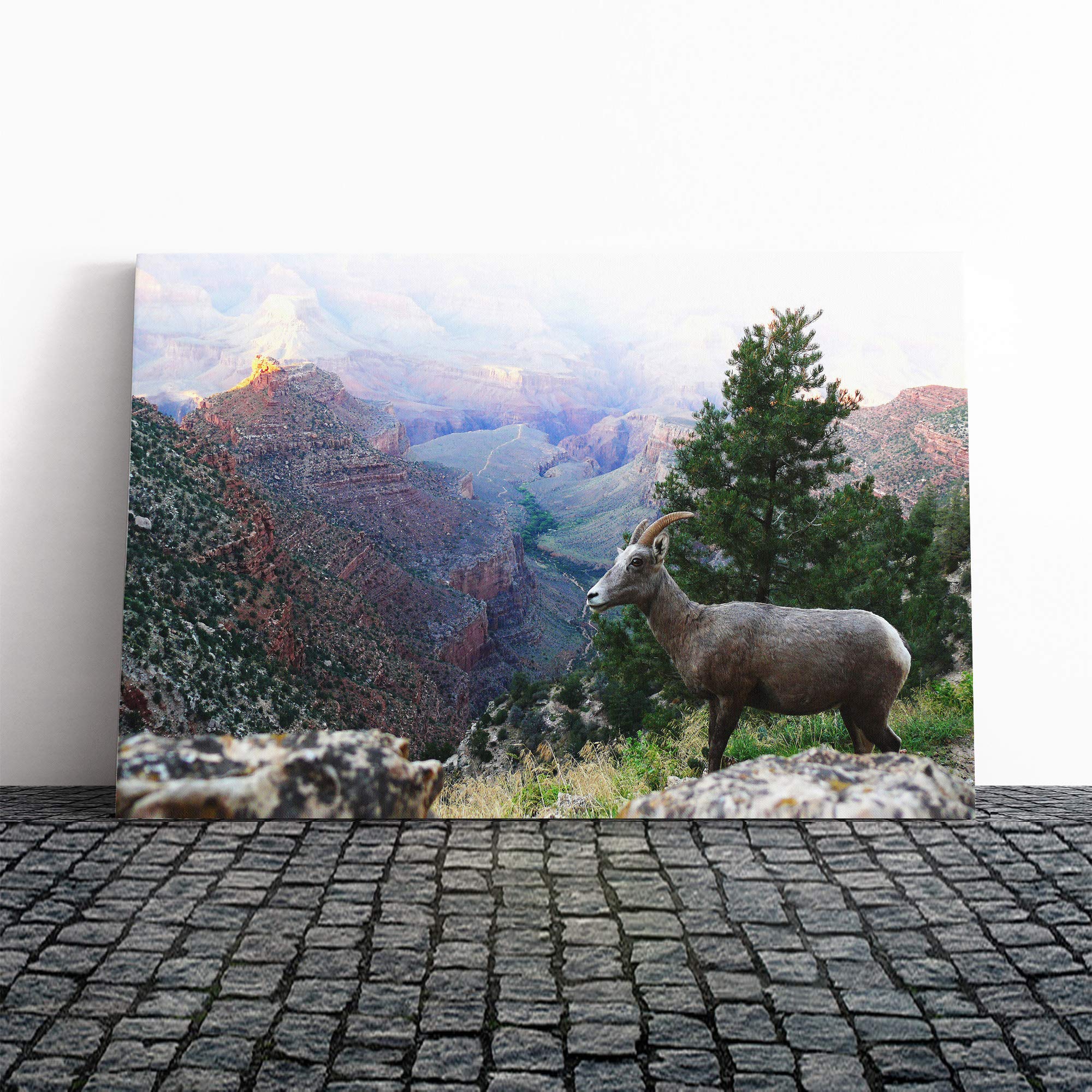 Mountain Sheep Landscape Canvas Print | Gallery Wrapped 30mm Frame Wall Art | 30x20 inches | Ready to Hang | Modern Animals Picture | Living Room Bedroom Lounge Office