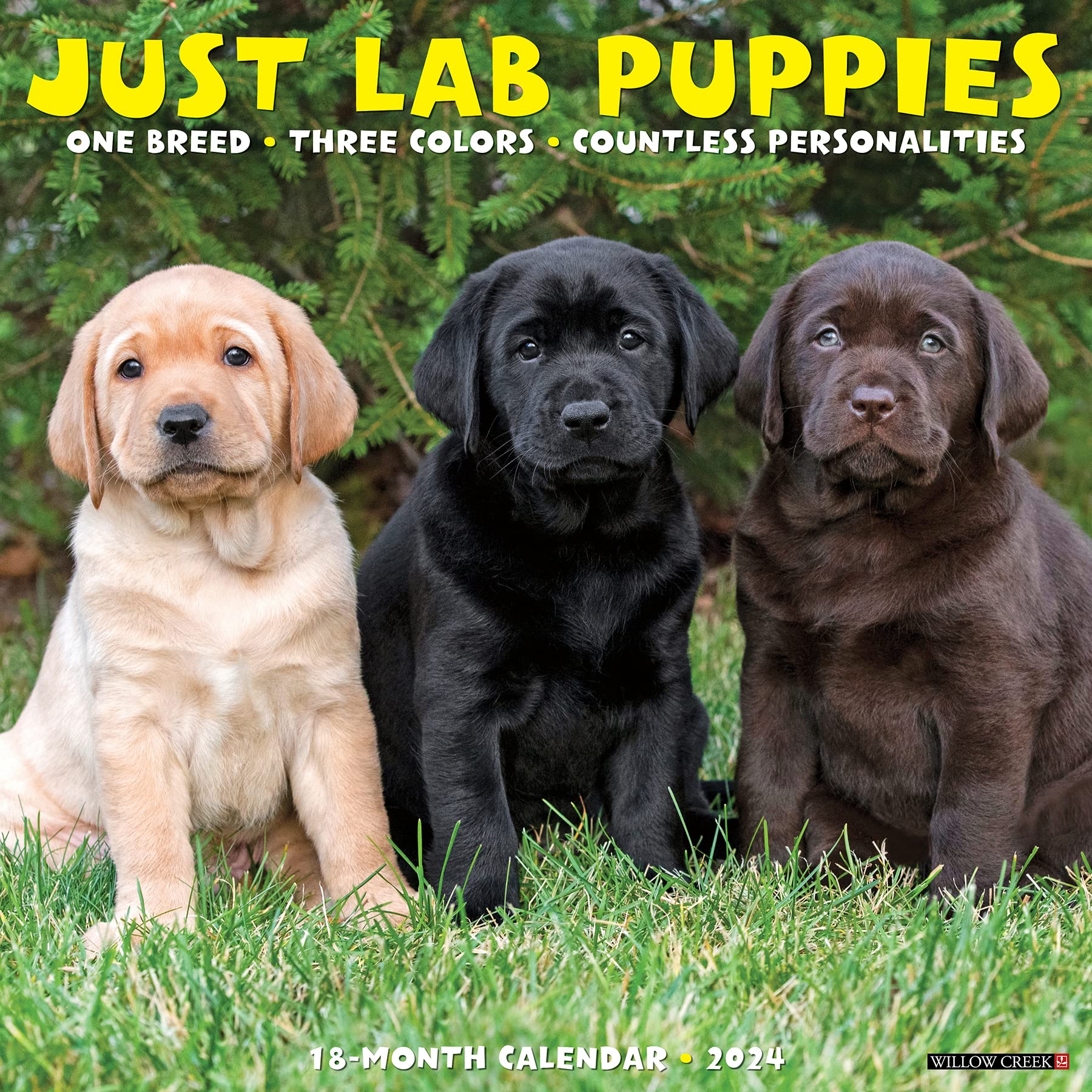 Willow Creek Press Lab Puppies Monthly 2024 Wall Calendar (12" x 12")