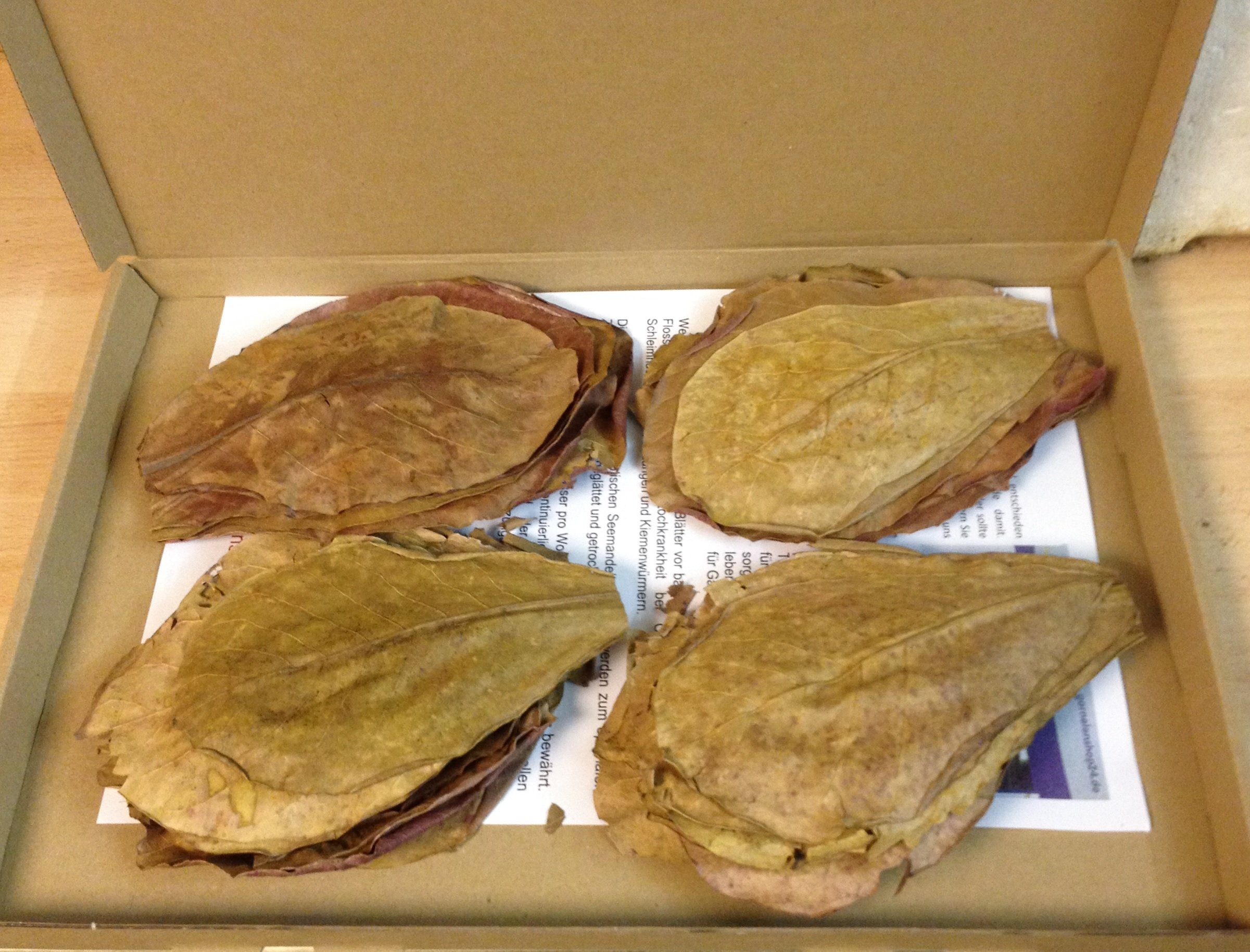 50 g Nano Indian Almond Tree Leaves (Approx. 10 cm/Approx. 50 Units)