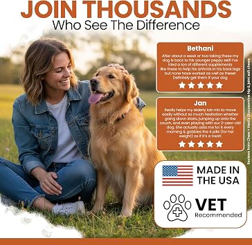 Hip and Joint Supplement For Dogs, 60 Soft Chews, Glucosamine & Chondroitin