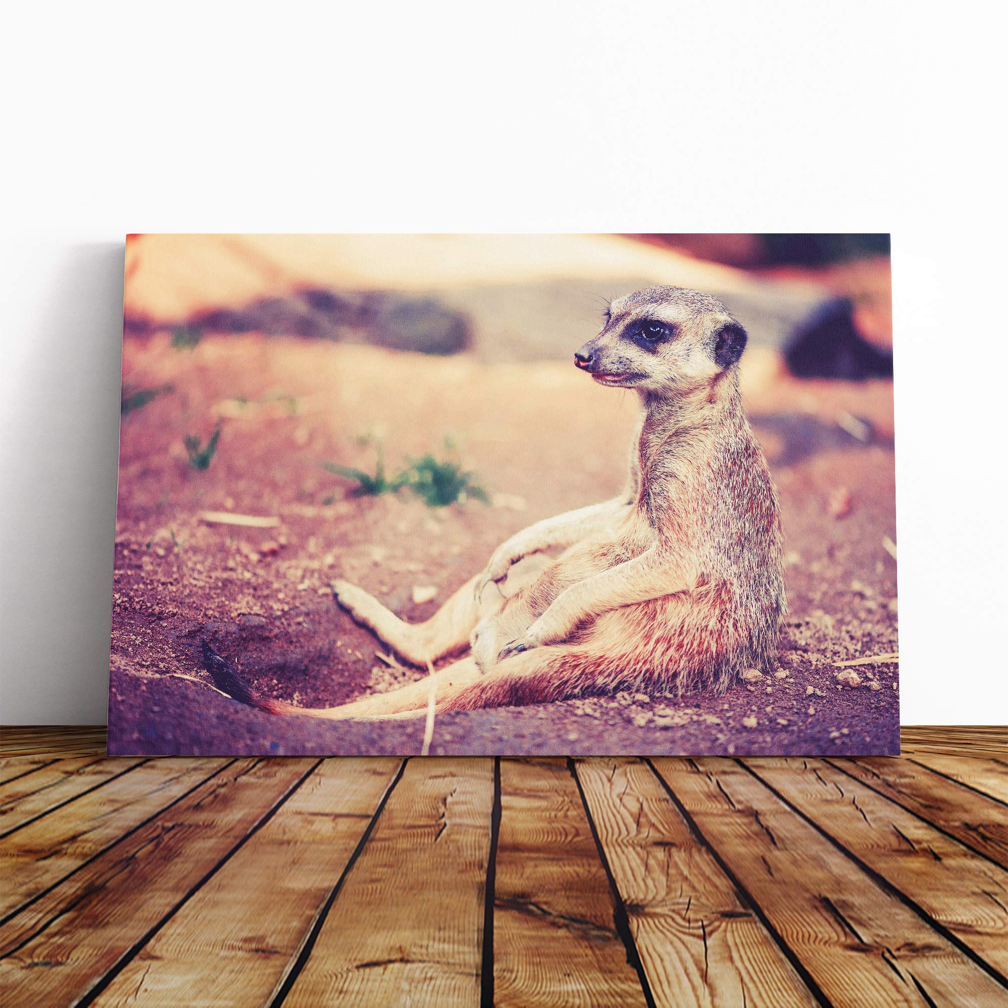 Meerkat Vol.3 Canvas Print | Gallery Wrapped 30mm Frame Wall Art | 20x14 inches | Ready to Hang | Modern Picture | Living Room Bedroom Lounge Office