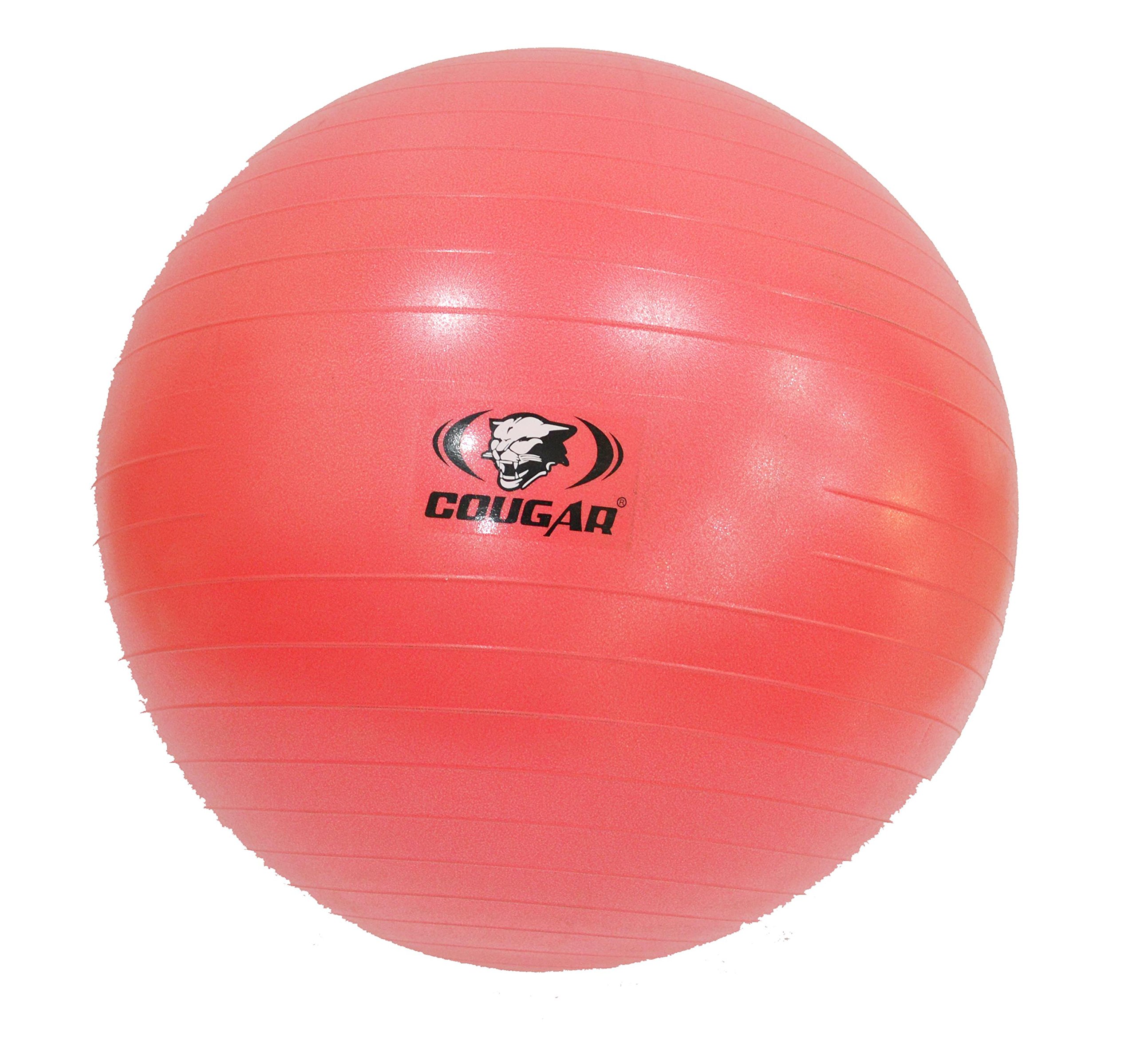 COUGAR Anti Burst Gym Ball/Swiss Birthing Stability Ball for Workout & Fitness/Yoga Ball with Foot Pump for Men/Women (95 cm) (B00UFNCSKW) Amazon Price History, Amazon Price Tracker