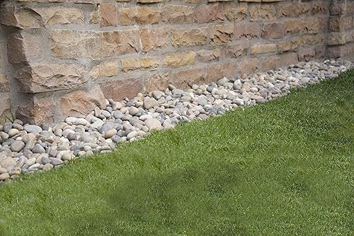 Vista 98 de MSI Guijarros multicolor pulidos decorativos, 1.2 pulgadas - 2 pulgadas, bolsa de 40 libras