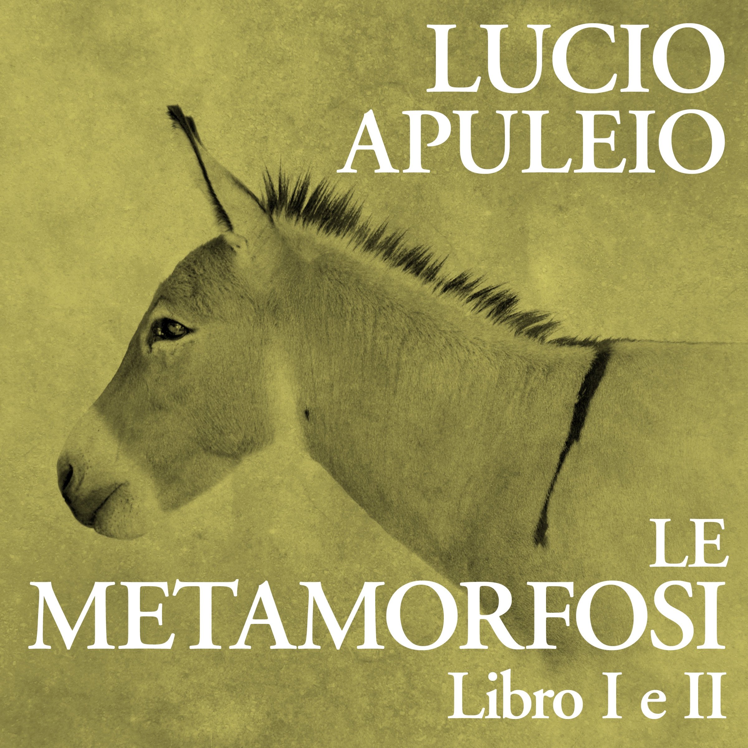 Le Metamorfosi: Libro I e II