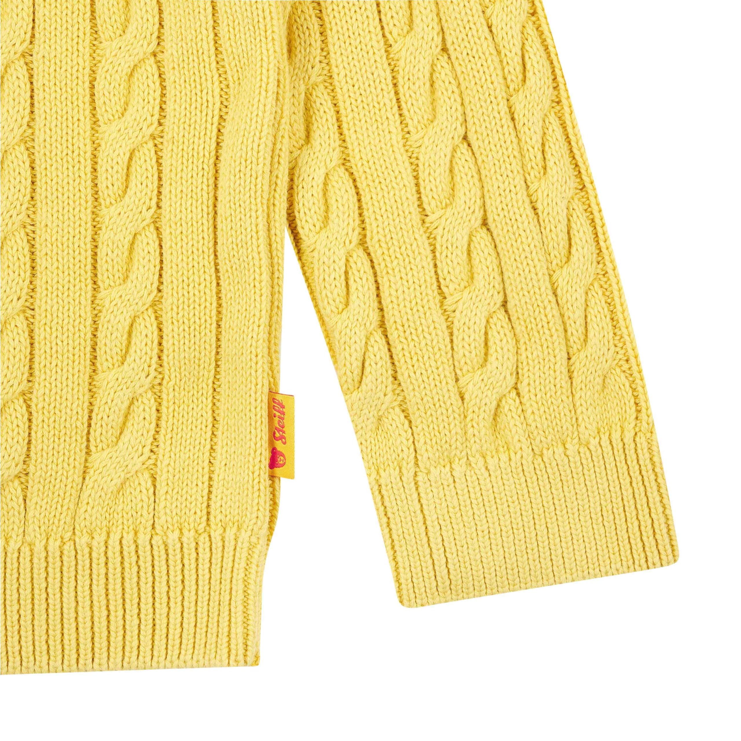Steiff Jungen Pullover