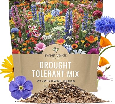 Drought Tolerant Wildflowers Mix Extra Large Packet Over 7,500 Open Pollinated Non-GMO Seeds 21 Different Dryland Species