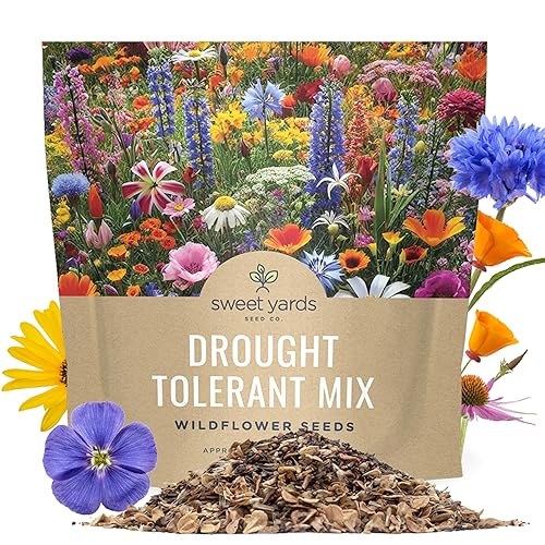 Drought Tolerant Wildflowers Mix – Extra Large Packet – Over