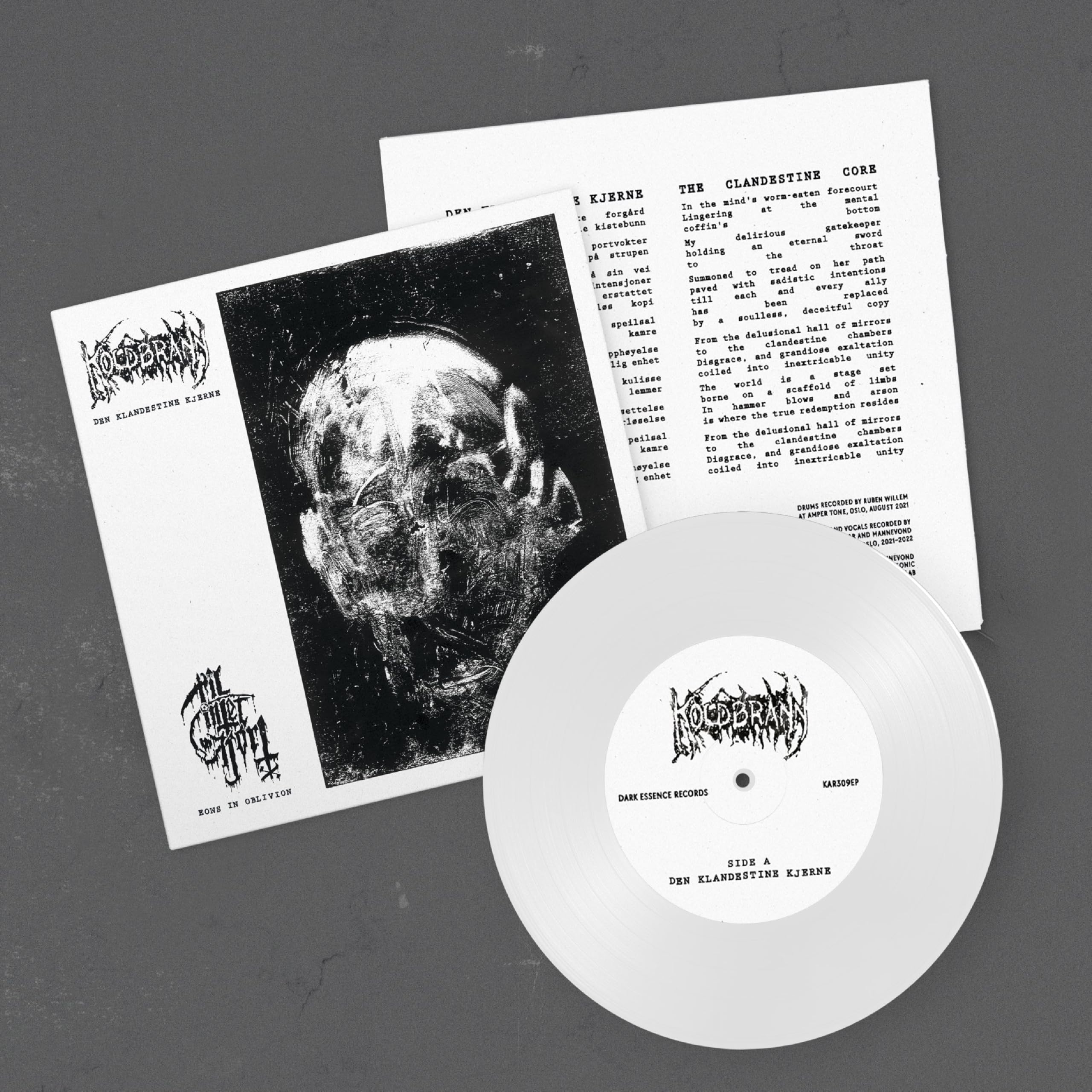 DEN KLANDESTINE KJERNE / EONS IN OBLIVION [VINYL]