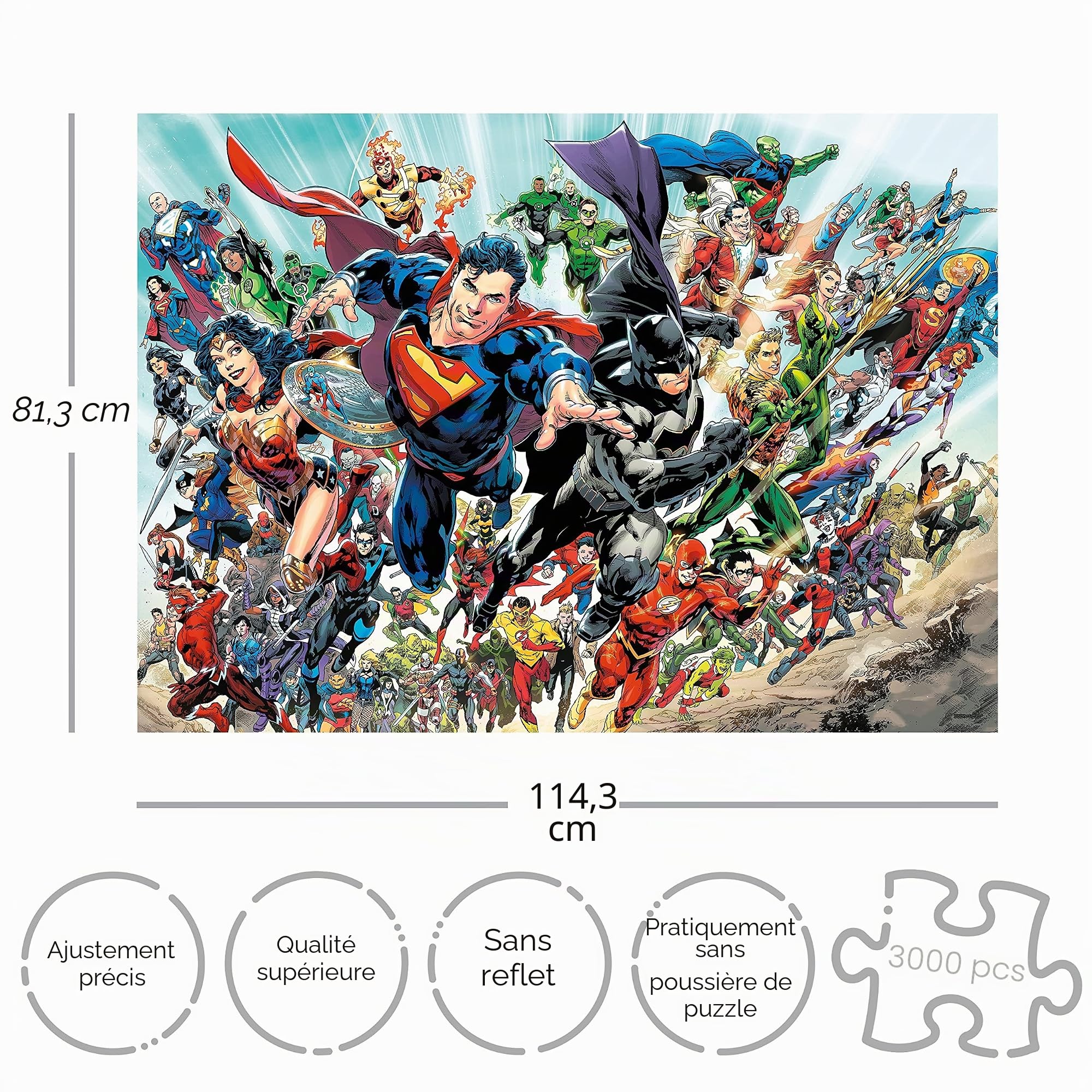 AQUARIUS DC 3000P Personnages Casse-tête 81X114Cm