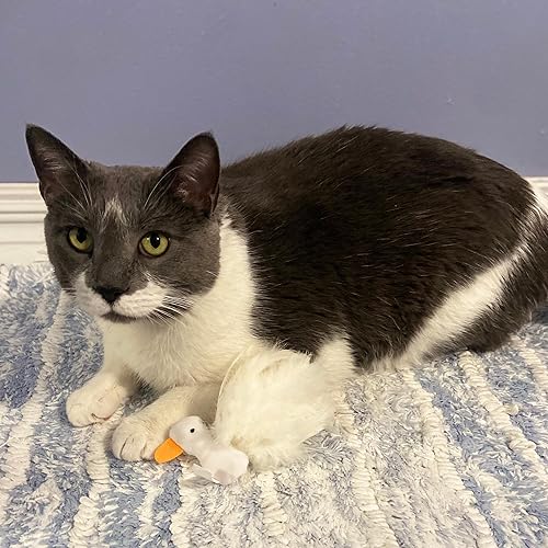 Miniatura 13 de Ethical Pet Products (Spot) SPOT CSO2829 - Juguete de plumas para gatos, surtido (773402)