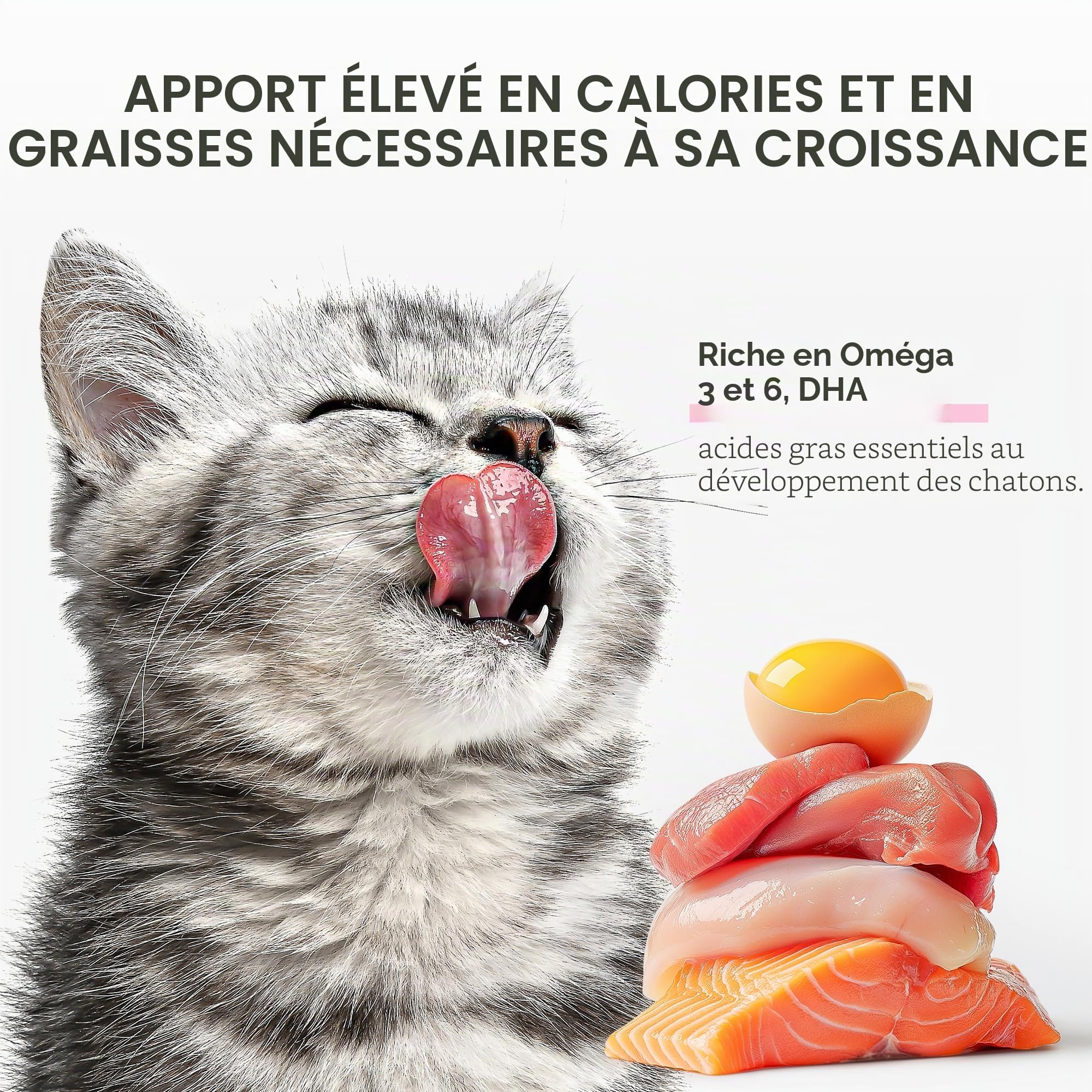 Schesir Baby, goût Poulet et Saumon, Nourriture Humide complète pour Chatons avec DHA et Taurine (12 boîtes de 70 g)
