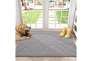 Modern Small Gray Rug for Door Entryways