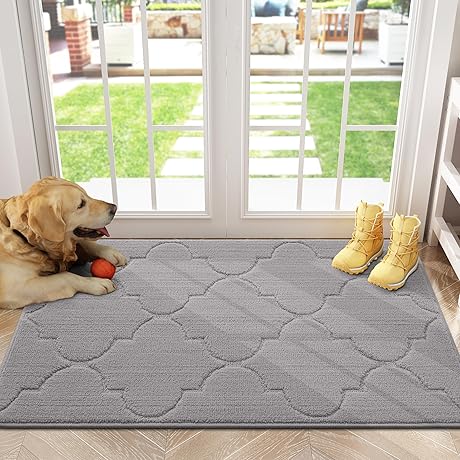 Modern Small Gray Rug for Door Entryways
