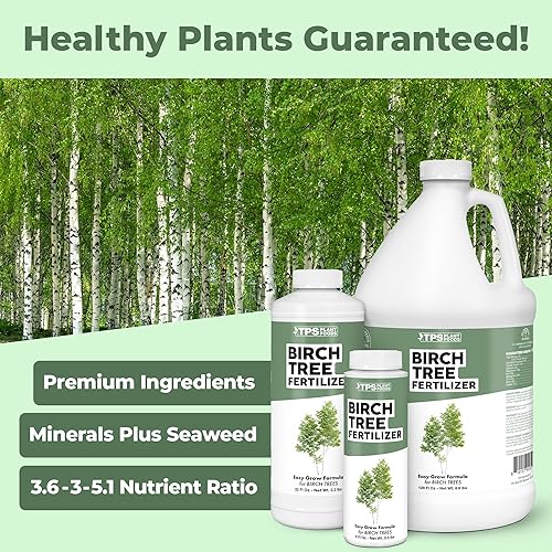 Miniatura 2 de Fertilizante de abedul para abedules, funciona muy bien para abedules de río, abedul de papel y abedul plateado, fertilizante líquido por TPS Plant