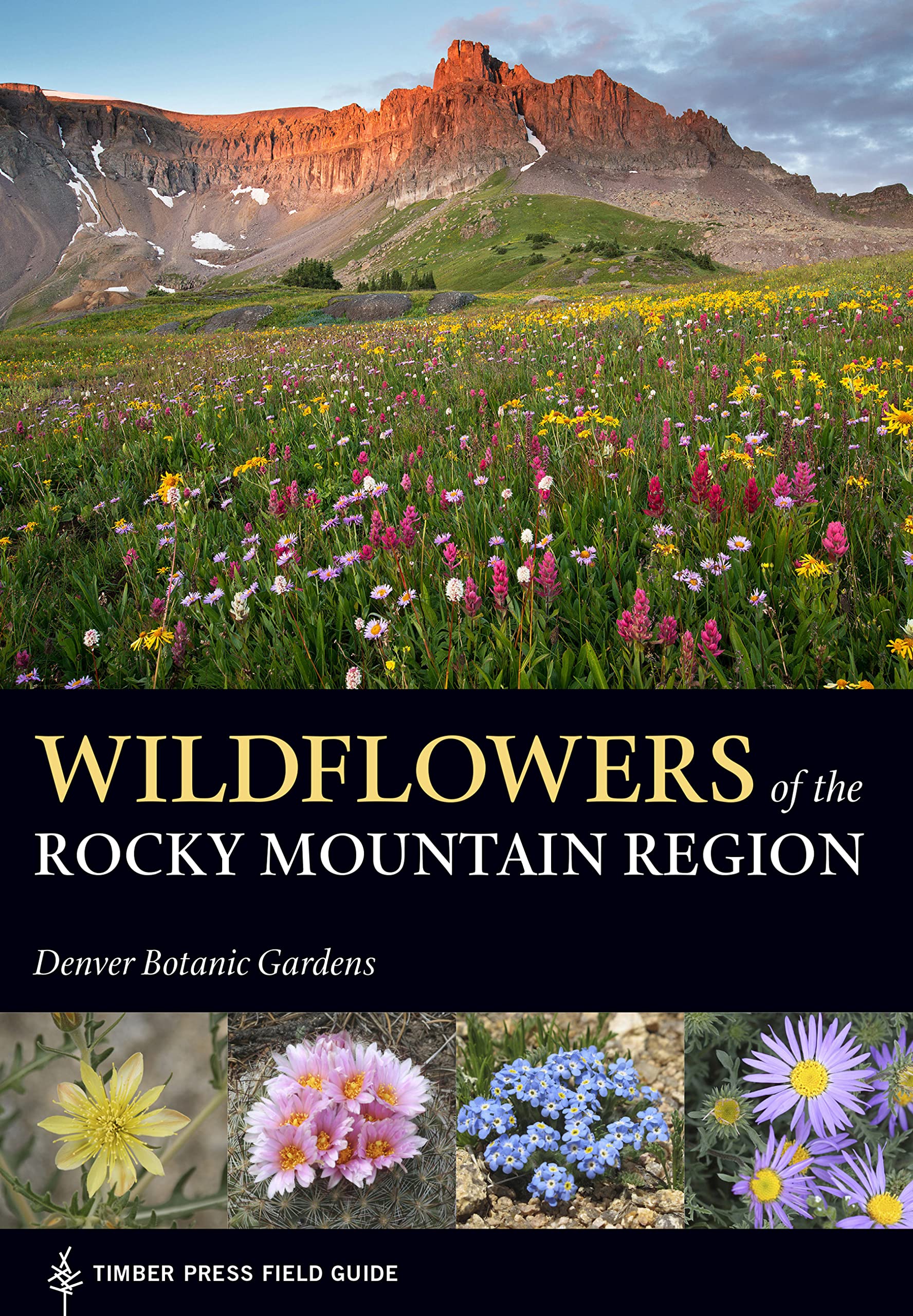 Wildflowers of the Rocky Mountain Region (A Timber Press Field Guide)