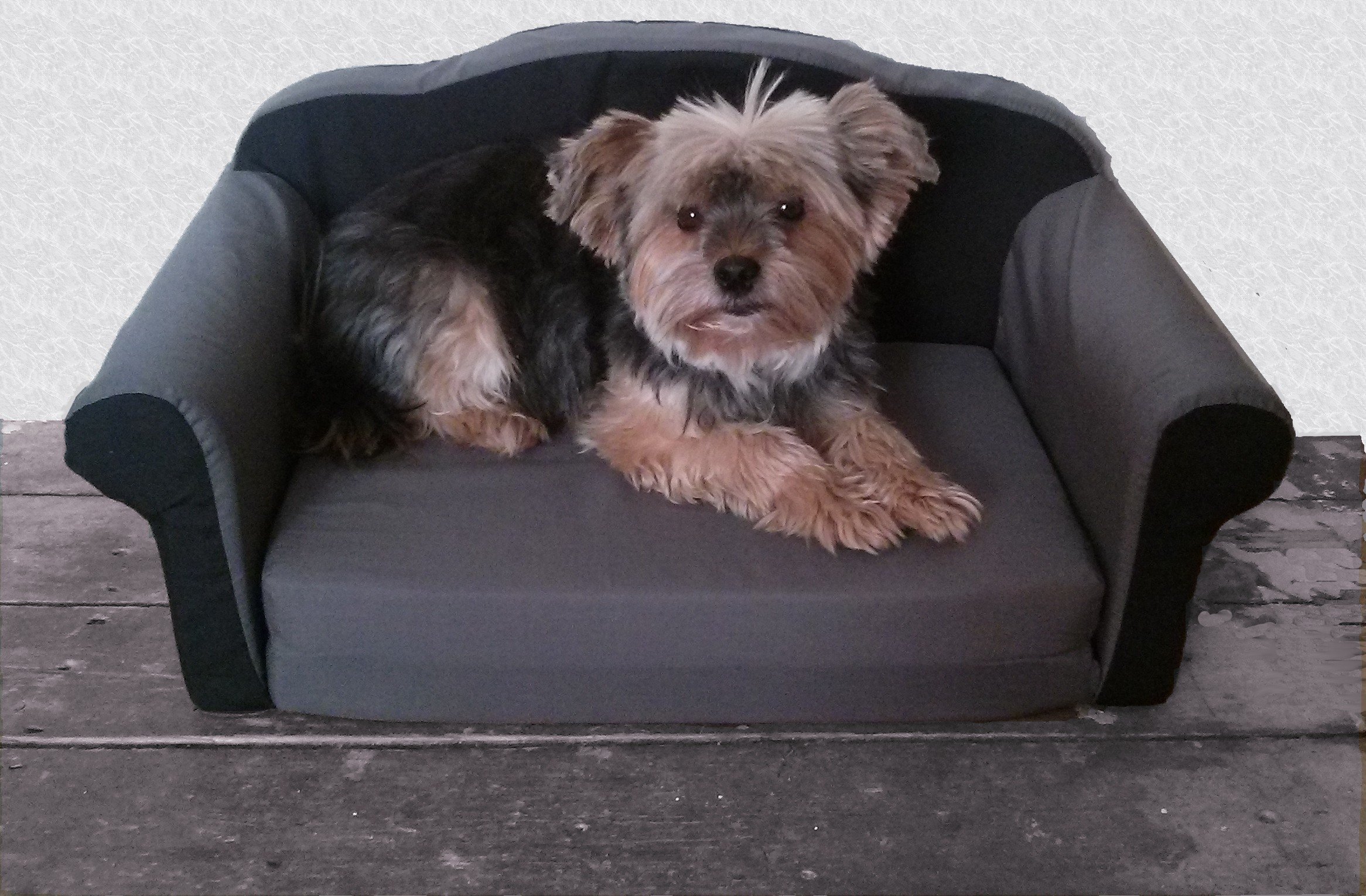 Hunde- & Katzensofa ausklappbar, Stoffbezug, farbig | Ausklappbares Hunde- und Katzensofa mit komfortabler Liegefläche zum Entspannen und Schlafen.