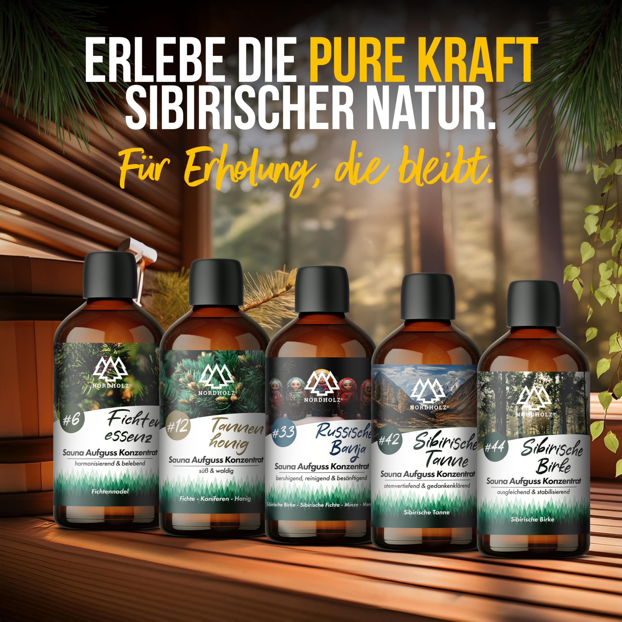 NORDHOLZ® Saunaaufguss Set 5x100ml Sibirische Reise natürliches Sauna Aufgussmittel intensiver Duft Sauna Zubehör