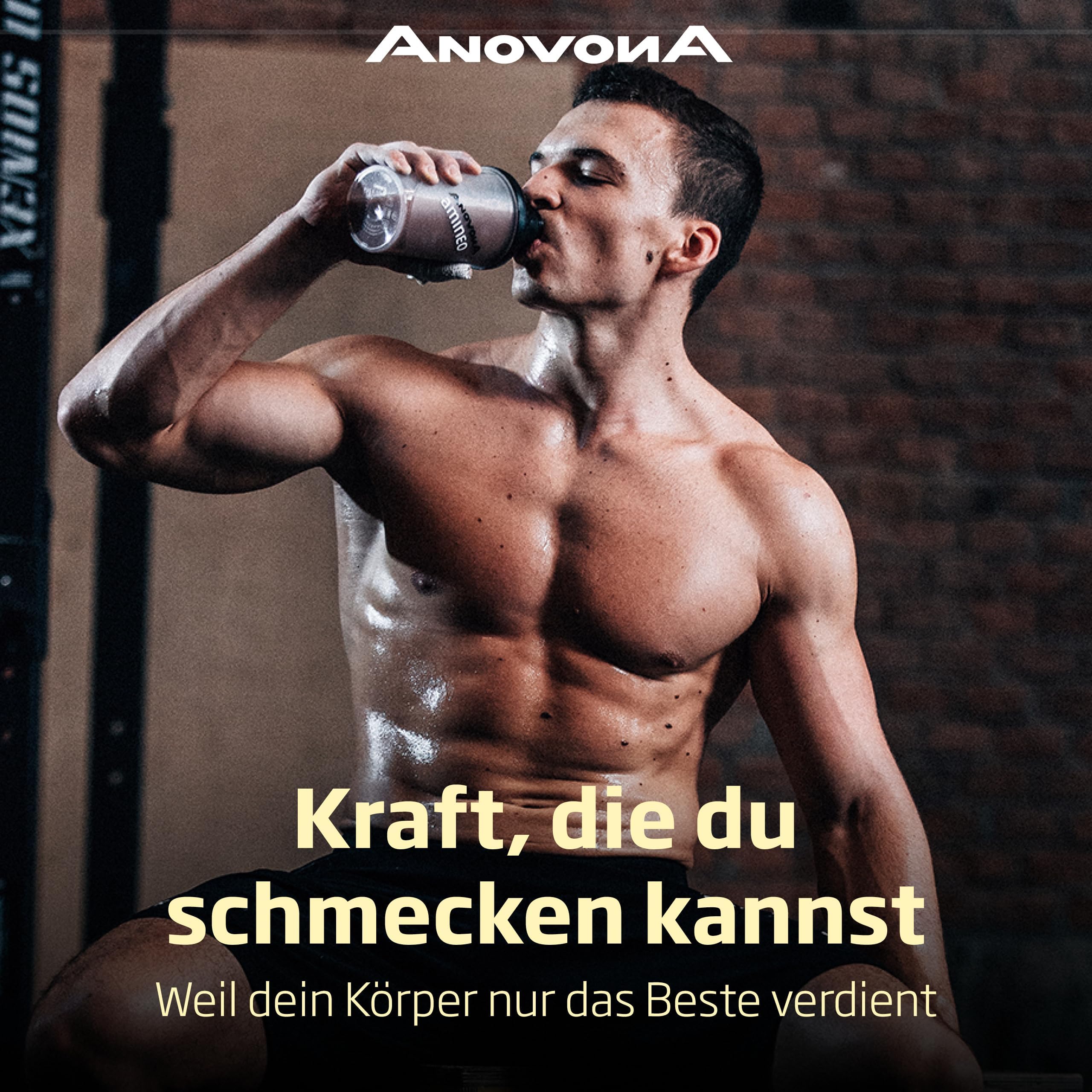 AnovonA defineo Proteinpulver: Effektiver Gewichtsverlust & Muskelaufbau mit sättigendem Mahlzeitenersatz – Reich an Vitaminen, Mineralstoffen & Glucomannan- Glutenfrei | Banana-Caramel, 560 g.