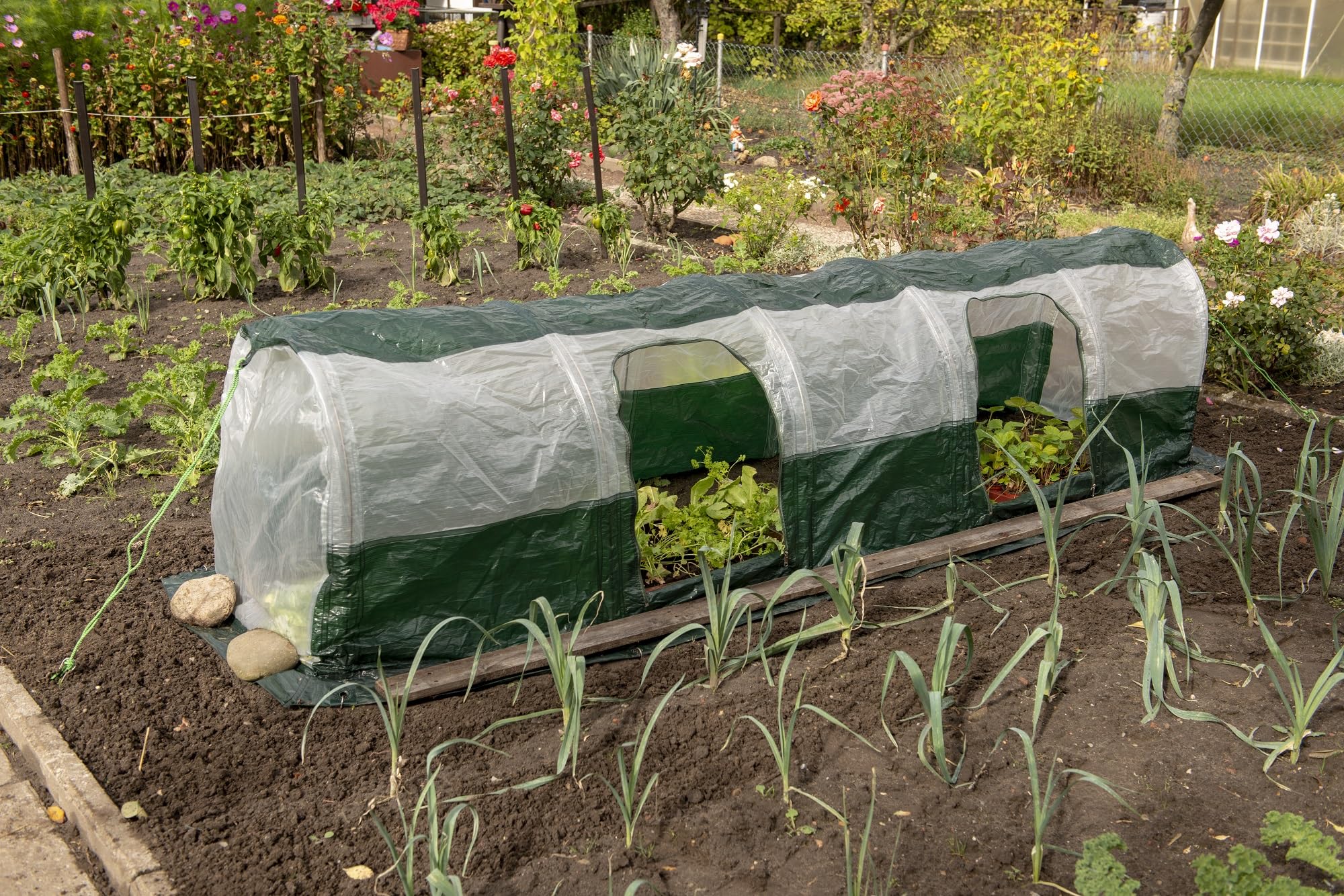 Bio Green Super Dome Tunnel de Protection Vert Transparent