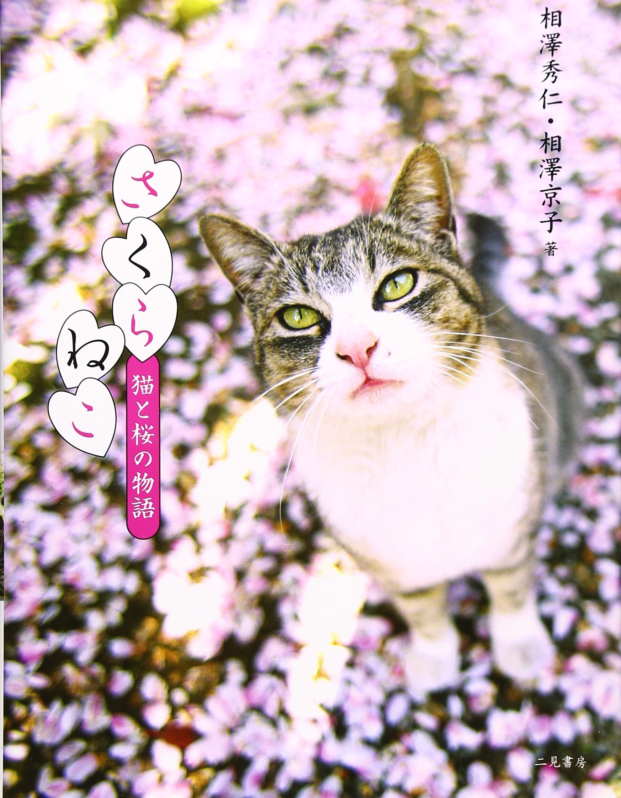 さくらねこ 猫と桜の物語 秀仁 相澤 京子 相澤 本 通販 Amazon