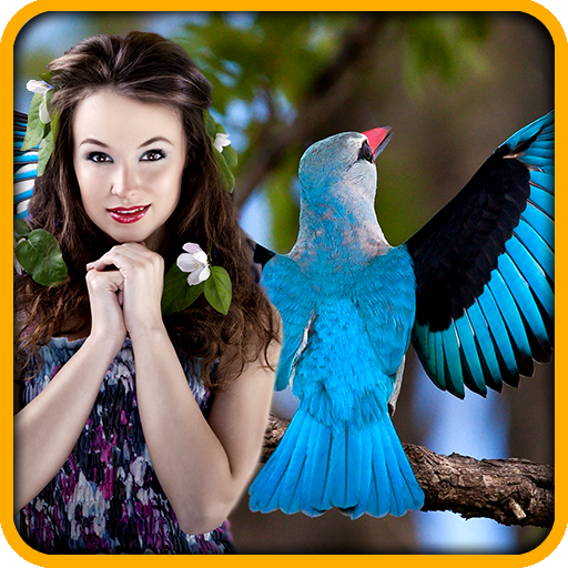 Birds Photo Editor App on Amazon Appstore