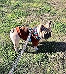 Review Image by kevin c. kevin c.