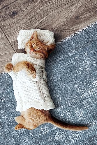 Miniatura 7 de RugOver Alfombra lavable a máquina, apta para mascotas y antideslizante, para interiores, cocina, baño, sala de estar, decoración del piso del hogar