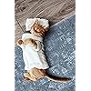 Product Photo 7