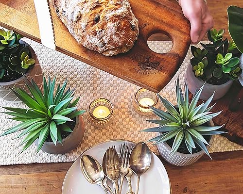 Miniatura 3 de Kurrajong Farmhouse Planta artificial de interior | Planta falsa de 7 pulgadas de alto | Suculenta artificial en maceta | Suculenta falsa | Planta