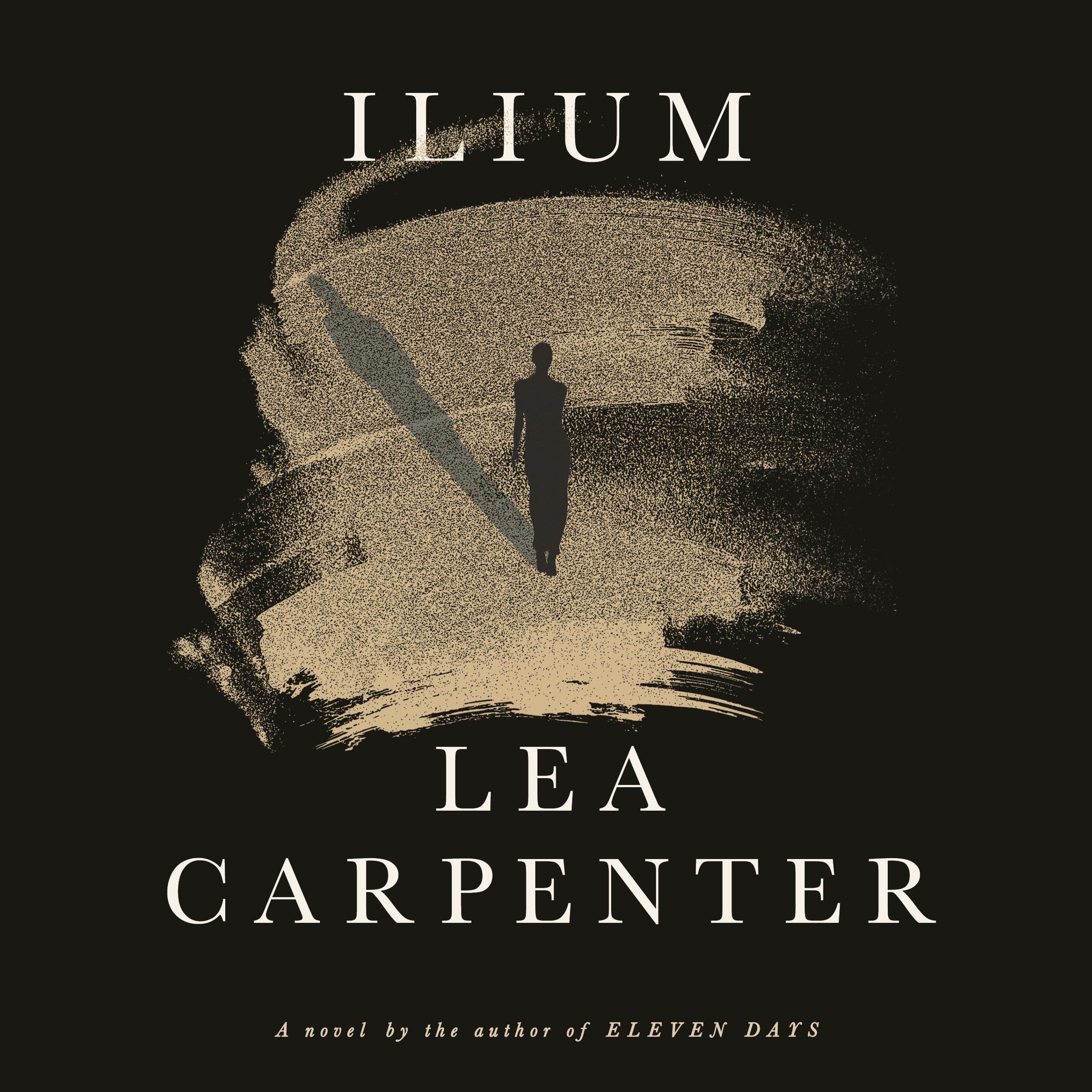 Cover art for Ilium