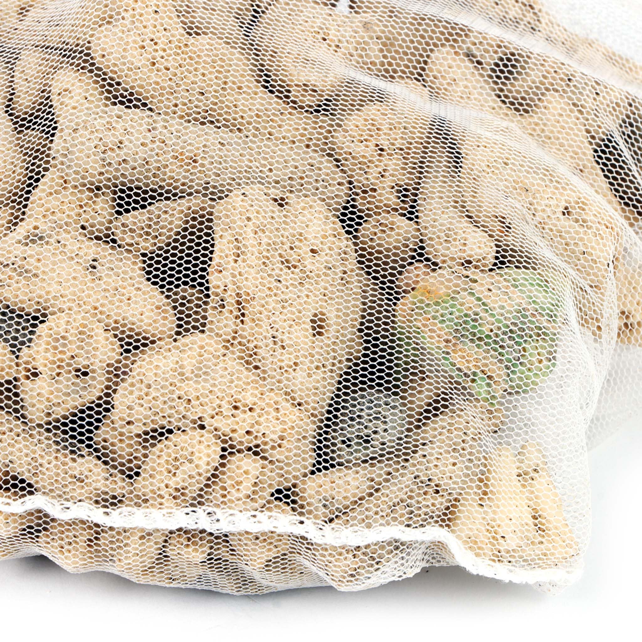 SunSun Sable corallien très Grossier – 0,5 kg – pour Colonisation de bactéries nitrifiantes, Régulation de dureté – Filtre bassins, étangs, Aquariums