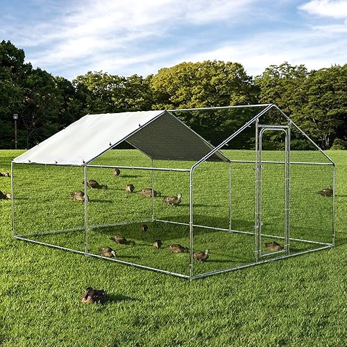 Vista 17 de ORANLAND Gallinero de metal grande, corridos de pollo con tapa para patio con cubierta, gallinero con cerradura de seguridad y cubierta impermeable