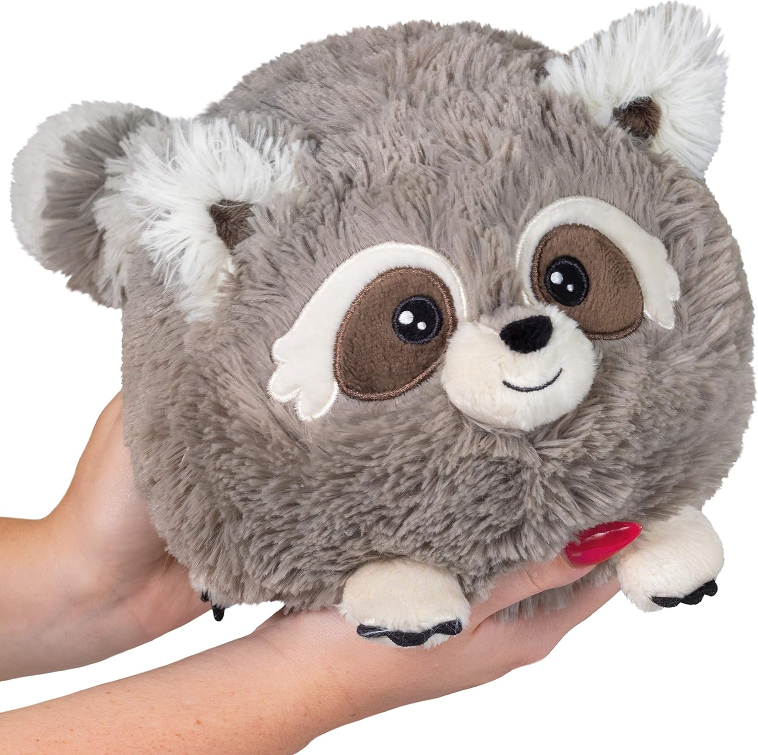squishable raccoon
