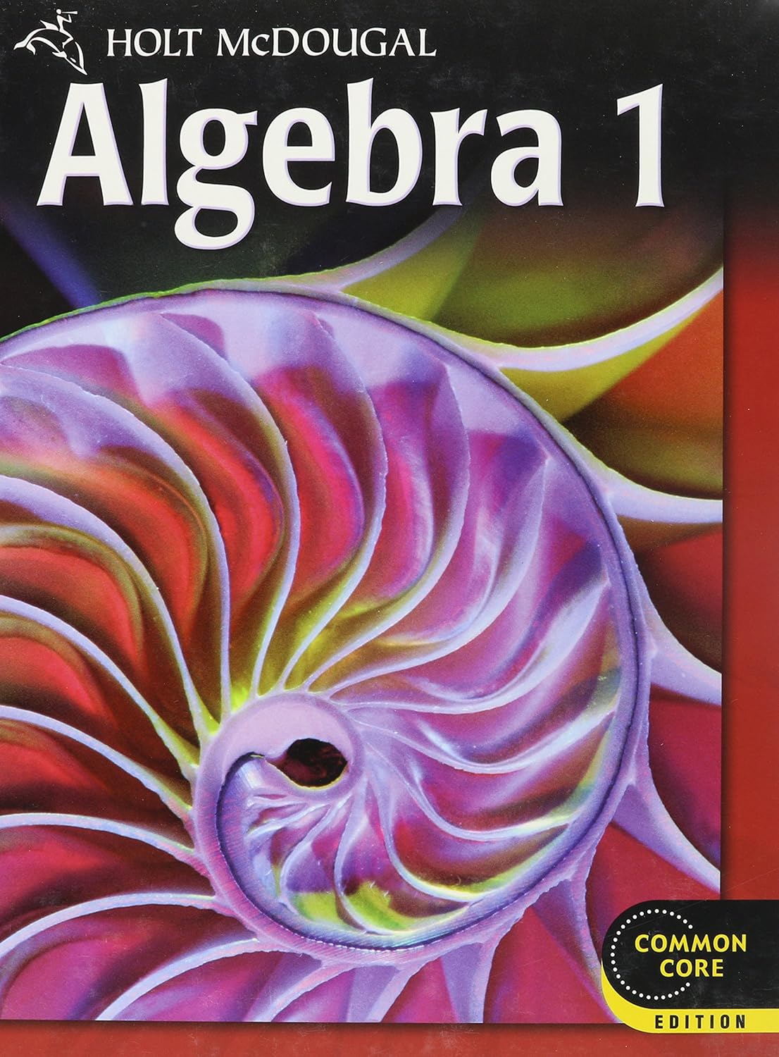 Algebra 1 Common Core      Hardcover – January 1, 2011