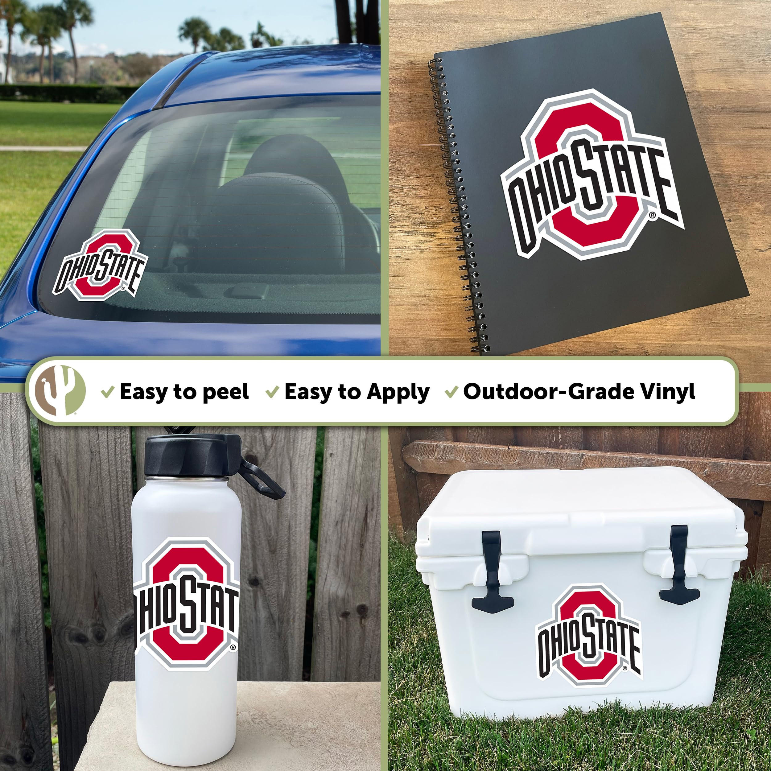 Desert Cactus The Ohio State University Osu Buckeyes Vinyl Decal