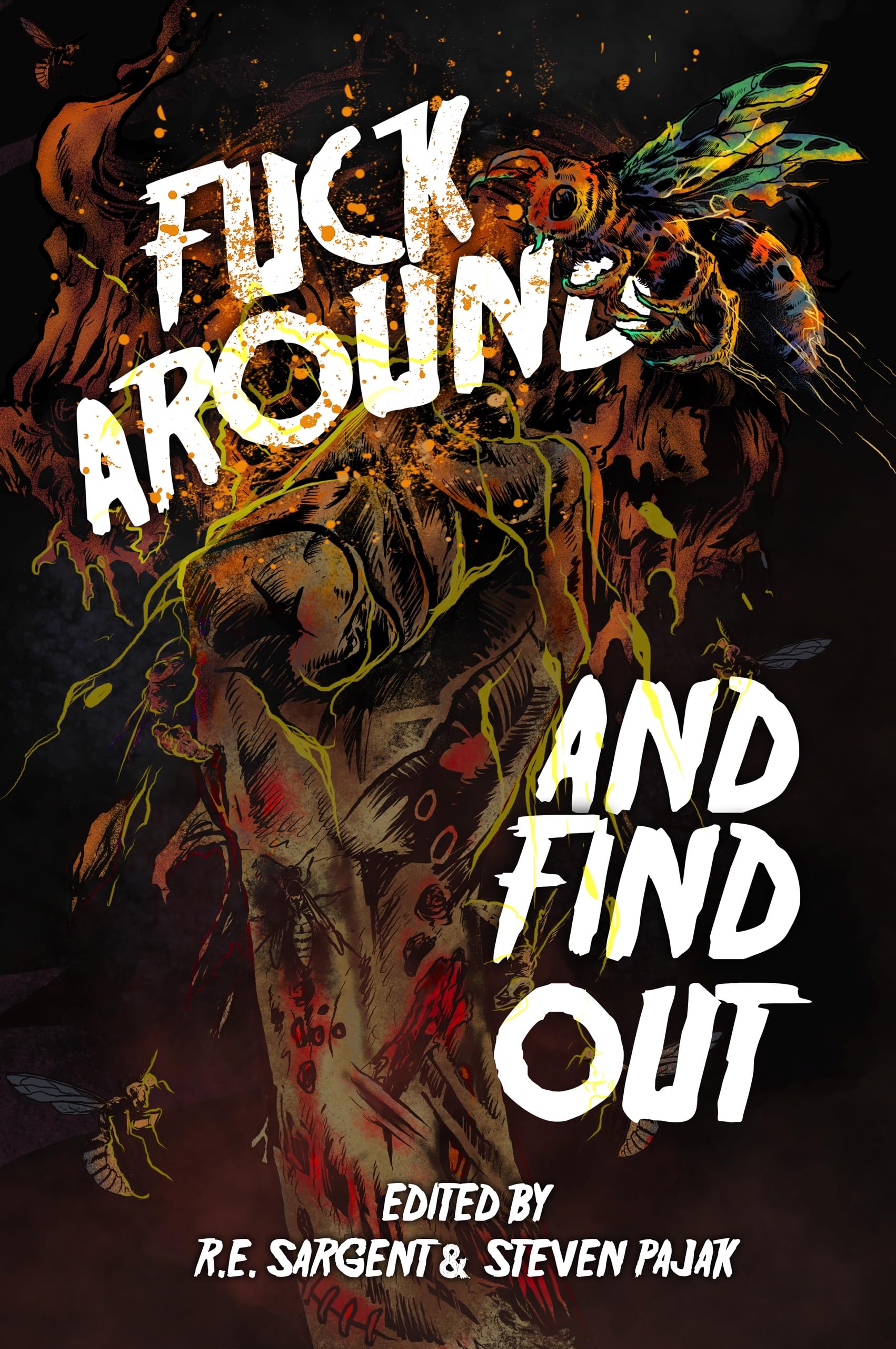 Cover of Fuck Around and Find Out
