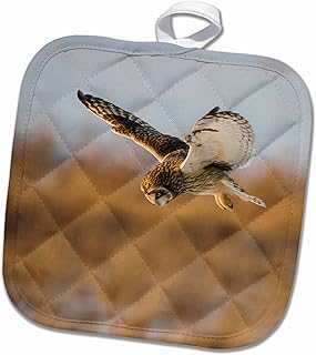 3D Rose Short-Eared Owl in Flight-Prairie Ridge Sna-Marion-Illinois-USA. Pot Holder, 8 x 8