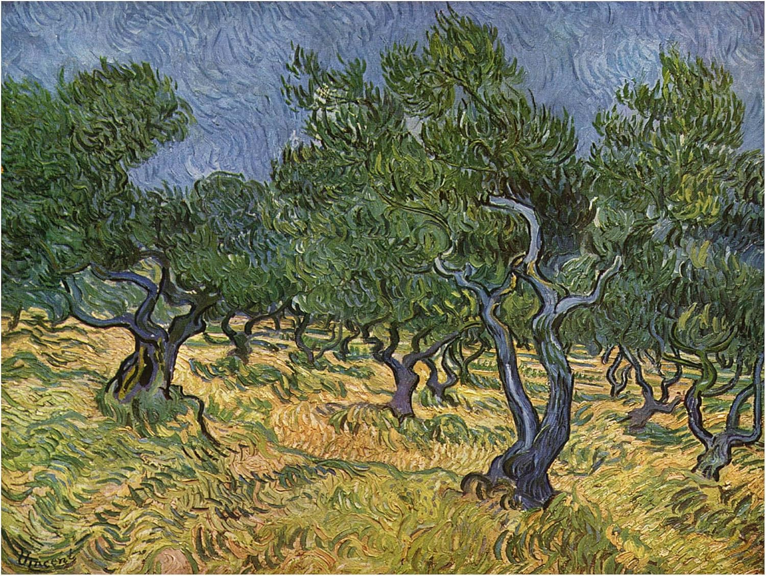 Wrapped Canvas Wall Art - Vincent Van Gogh 'Olive Orchard Midjune' Wall Art for Living Room, Bedroom, or Office Décor - 18x24