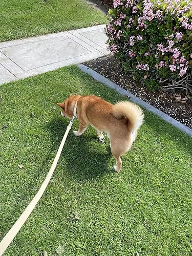 Miniatura 6 de Collar de perro impermeable, collares ajustables a prueba de olores fáciles de limpiar, collares suaves y cómodos para perros grandes, medianos y